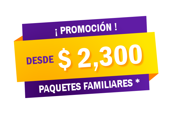 Promoción Familiar
